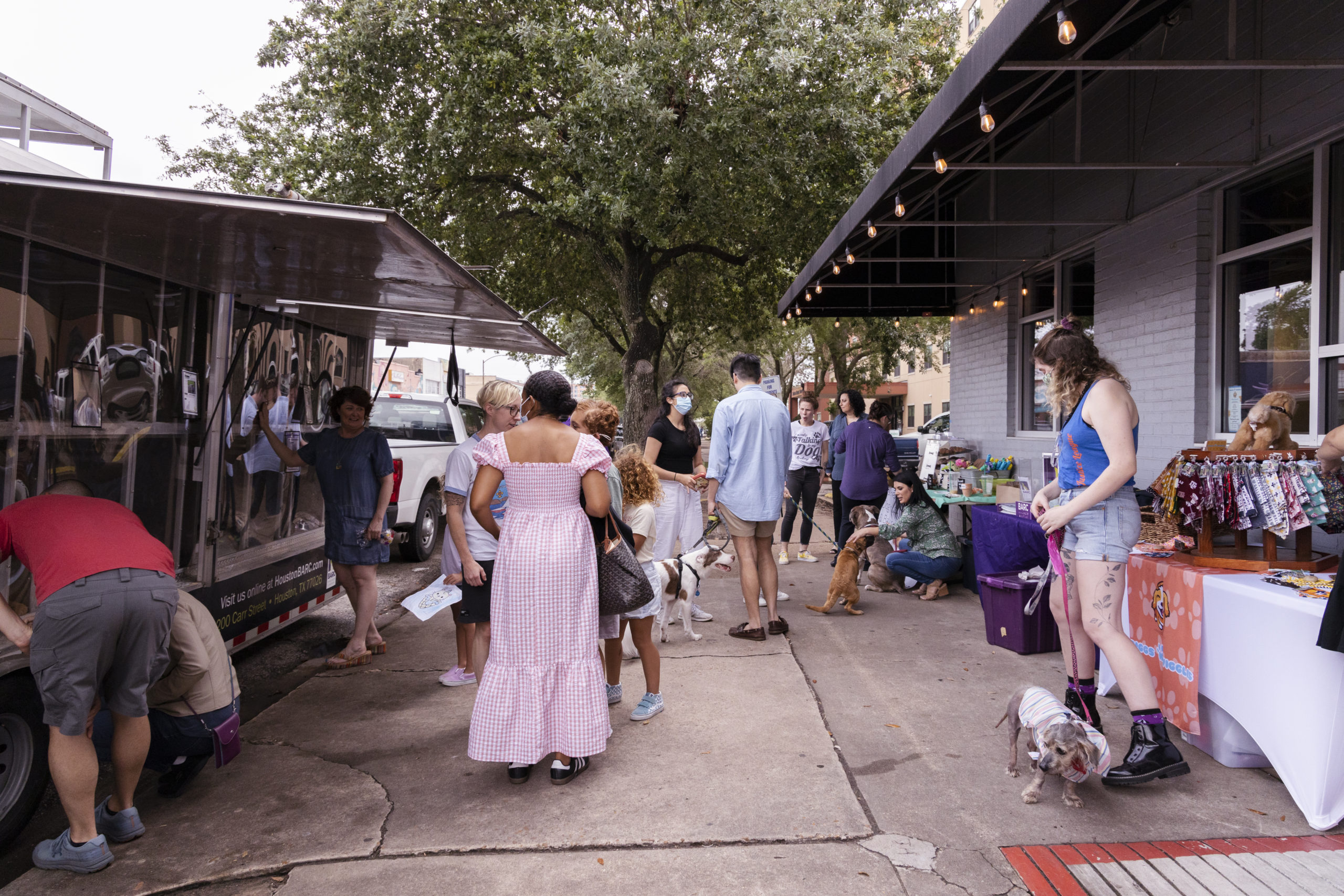 A crowd on the sidewalk for an event. People look inside of a mobile pet adoption vehicle.