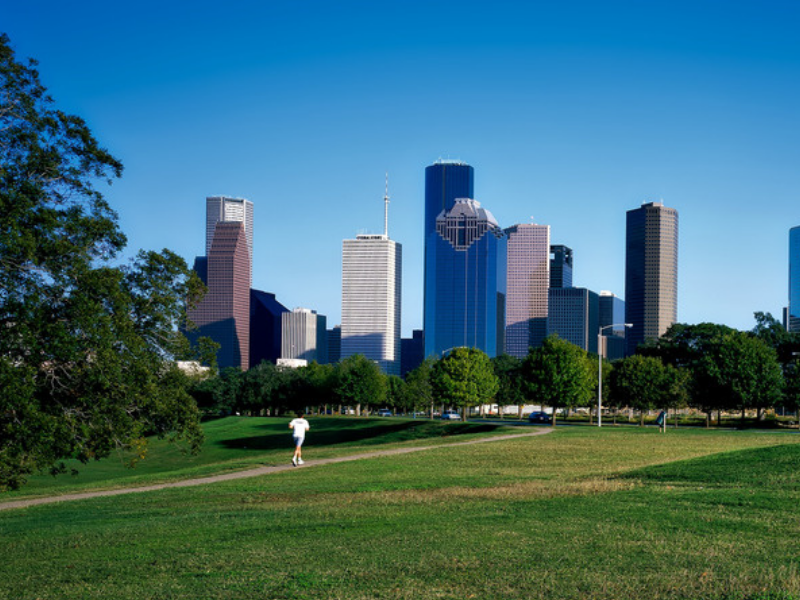Houston skyline as shown from a park landscape